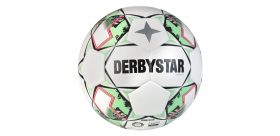 Futbalová lopta Derbystar Tempo TT 2024