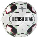 Futbalová lopta Derbystar Tempo TT 2024